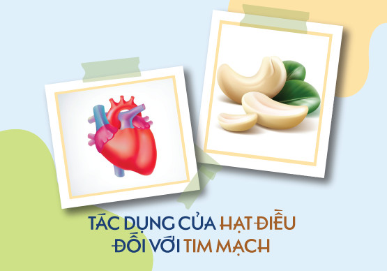 1 ngày ăn bao nhiêu hạt điều? Tác dụng của hạt điều