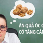 Ăn hạt óc chó có béo không? Bí quyết giảm cân an toàn và hiệu quả