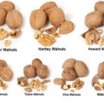 Địa chỉ cung cấp hạt óc chó giá sỉ, giá tốt tại Hà Nội