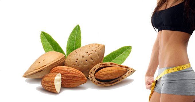 Hạt hạnh nhân hỗ trợ quá trình giảm cân
