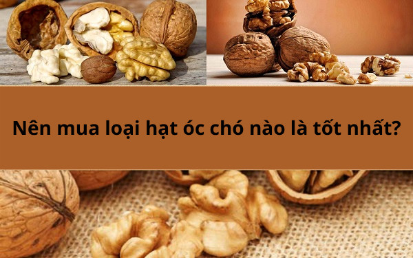 Nên chọn loại óc chó nào tốt nhất