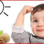 Ăn nhiều hạt óc chó có tốt không? Những nguy cơ tiềm ẩn cần lưu ý