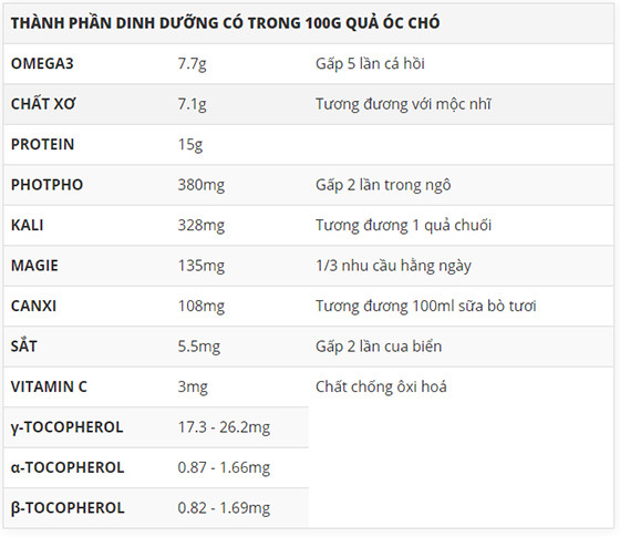 Thành phần dinh dưỡng phong phú của hạt óc chó